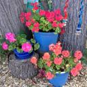 Lorene Wright - @lorenemwright - Twitter