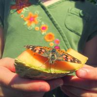 Mary Jane Chesnutt (@mschesnutt) 's Twitter Profile Photo Mary Jane Chesnutt (@mschesnutt) 's Twitter Profile Photo