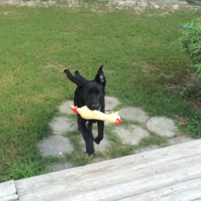 teenabobina's profile picture. 