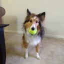 Katelyn Crowley - @crowlekm - Twitter