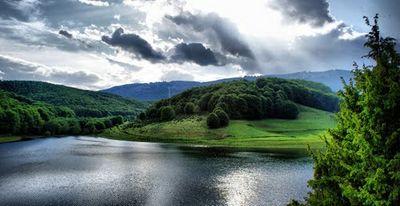 om_mo7md123's profile picture. 