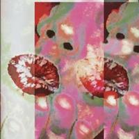 davie_marx (@sobeoneyo) 's Twitter Profile