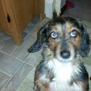 Rob Pate - @RobertPate12177 - Twitter