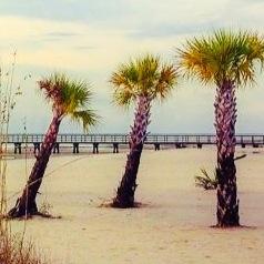 Landscape Architect & Photographer. Passion about historic buildings and restorations. The beach is my retreat.