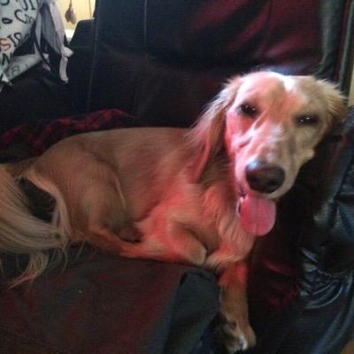 wassa912's profile picture. WASA