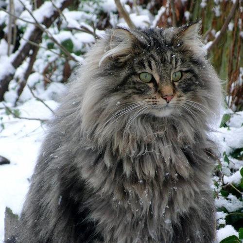 rudolf_beier's profile picture. 