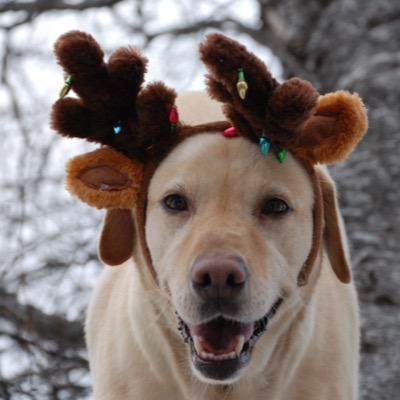 Godwillguide's profile picture. You must be happy with what you have or else you will never have enough.