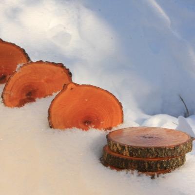 WoodCoasters's profile picture. Making the world a better place... One coaster at a time.