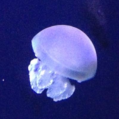 marinko3135's profile picture. 