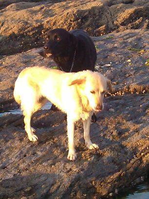 fifou0987's profile picture. :-*