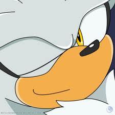 fluffySilver_'s profile picture. 