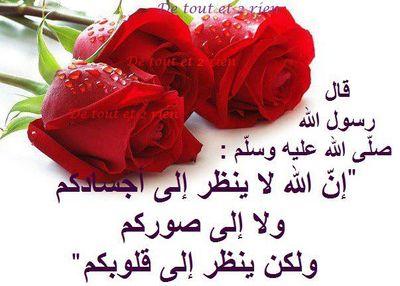 lnstagram.king_33le3: bbm 52118529.