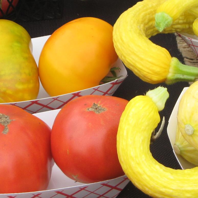 Reedsport Farmers Market Manager - Market every Friday 3rd week of May through middle of October 9m to 3pm.