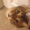 Patty Harrell - @PattyHarrell - Twitter