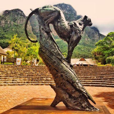 Leoscape1's profile picture. Tweeting about my blog. Life in South Africa and Cape Town pics. Follow me on Instagram: http://t.co/tYtNJKxf1V