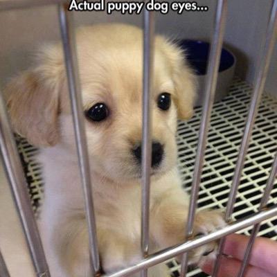 kurttitos's profile picture. 