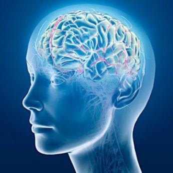 Neurotainment: Explorations in Neuro Entertainment - Neurogaming, art, music, edutainment, simulations, sports, storytelling, toys, interactive media...