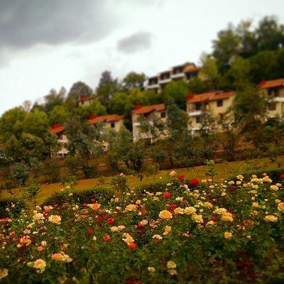 El encanto y la magia del clima de montaña combinan armónicamente con un complejo ecoturístico con todo lo necesario para que tengas unas #VacacionesInolvidable