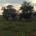 FRANK VIVAS - @FRANK_BARINAS - Twitter