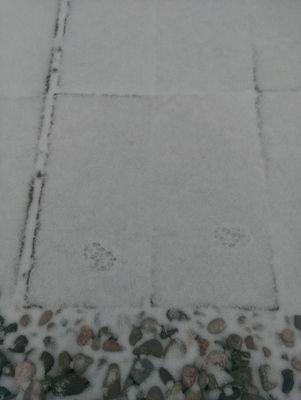 31_x_h_o_z_'s profile picture. I'm addicted to my KindleFire-I love Art Shows, Photography,Music,Random Events,The Bizarre,Horror,Paranormal, Drag & I am highly allergic to assholes