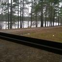 Sandra Gilbert - @SandraG65309639 - Twitter