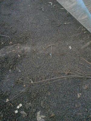 Ghosthunter616's profile picture. green monster i do my own sales