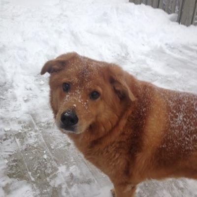 22booh22's profile picture. 