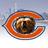 BearsBlitznet's profile image