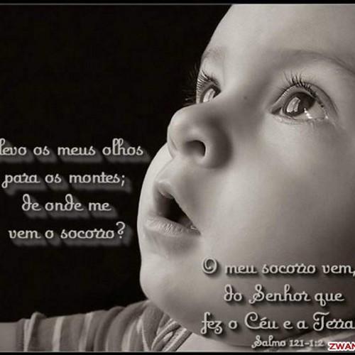 Eu Sou O Bom Pastor, E Conheço as Minhas Ovelhas, E Das Minhas Sou Conhecido. (João 10:14)