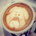 Tegan Tanner - @tanninghide - Twitter