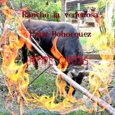 Venenosa_ranch's profile picture. ORGULLOSOS DE LA TIERRA QUE NOS VIO NACER Los toros Venenosos De Los Hnos Bohorquez RANCHO LA VENENOSA Contrataciones al 951 1042130 o 951 1957480