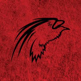 DARKSystemsllc's profile picture. 