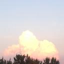 Reece Gaines - @reece_gaines - Twitter