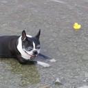 John Auvil - @imn2lvn - Twitter