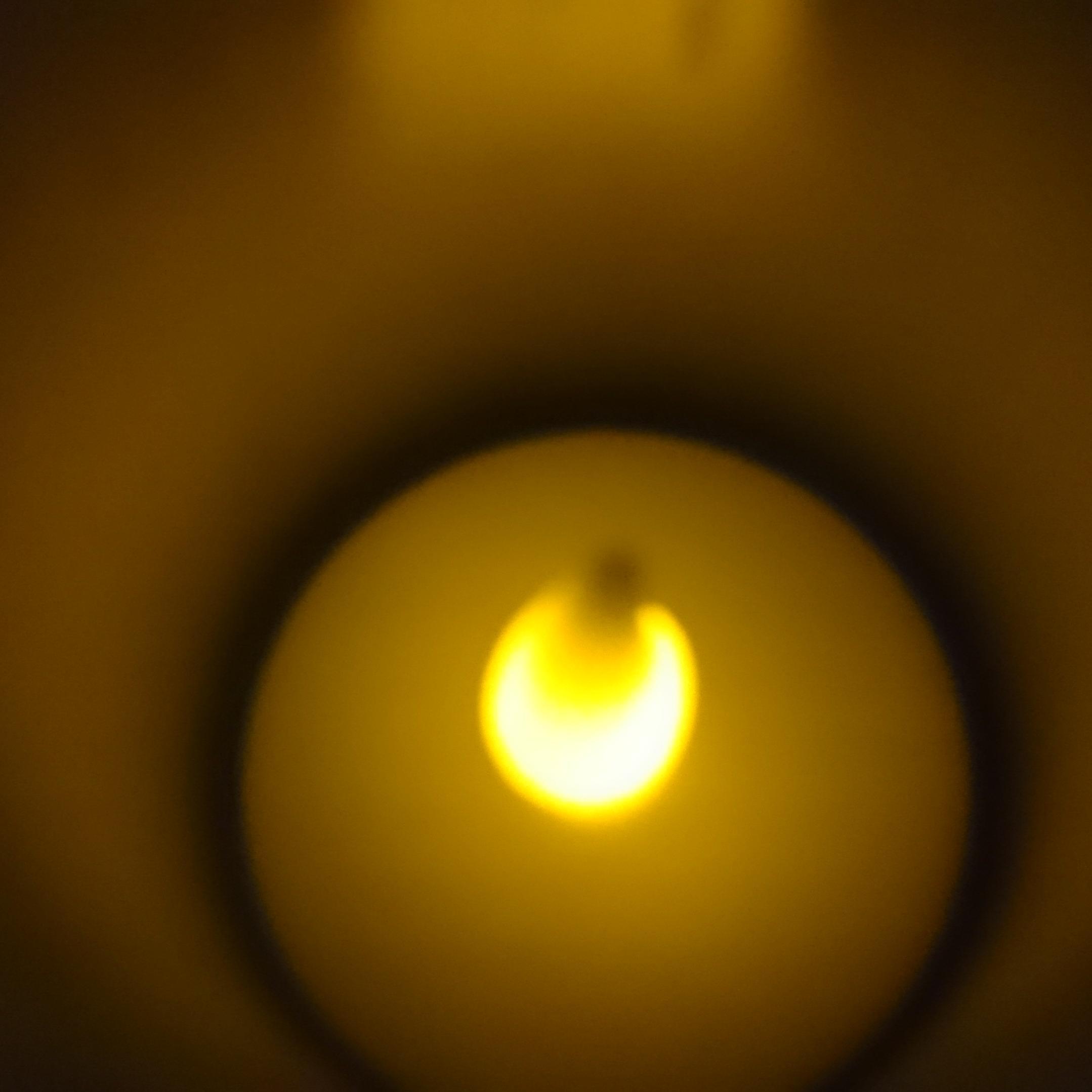 bythespring's profile picture. 