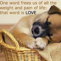 MMGigs67's profile picture. 