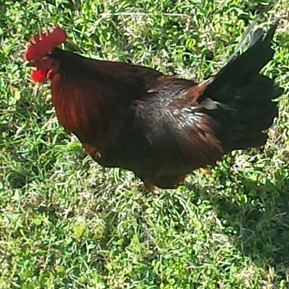 GunRemoval's profile picture. Volunteer to help prevent gun violence.