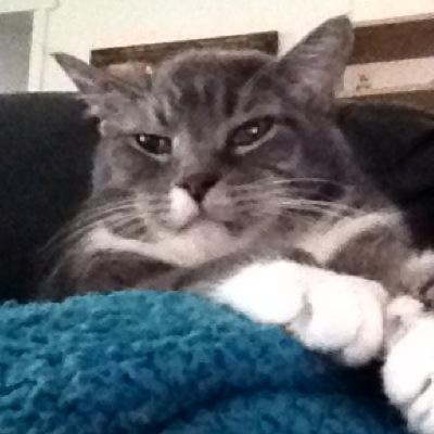 I hear twittering all around me. Is that a good thing?