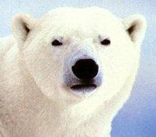 helloiamsean's profile picture. 