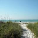 CAROL HAMMER - @Gmahammer - Twitter