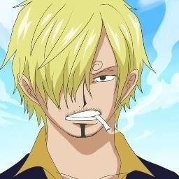 Good evening mademoiselle my name is Sanji, and I'm the chef for the Strawhat Pirates. My goal is to find the all blue, and defend all women.
