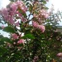 Michelle Demoss - @michelledemoss8 - Twitter