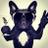 pedro jose gomez's Twitter (X) avatar
