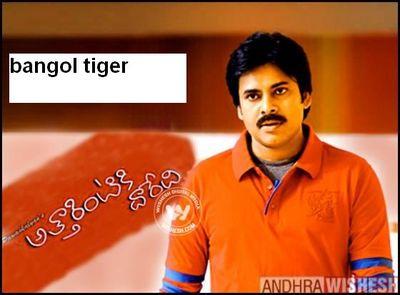 81cb6195f57c481's profile picture. 