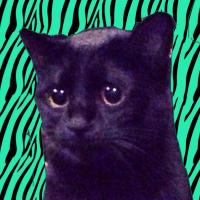 でらさん+黒猫+SP-404 (dillazombie & iLL dAzE) (@dilla58) 's Twitter Profile Photo でらさん+黒猫+SP-404 (dillazombie & iLL dAzE) (@dilla58) 's Twitter Profile Photo