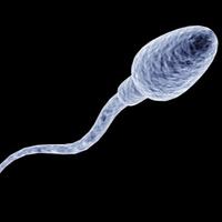 SpermNamedLisa (@lisasperm) 's Twitter Profile