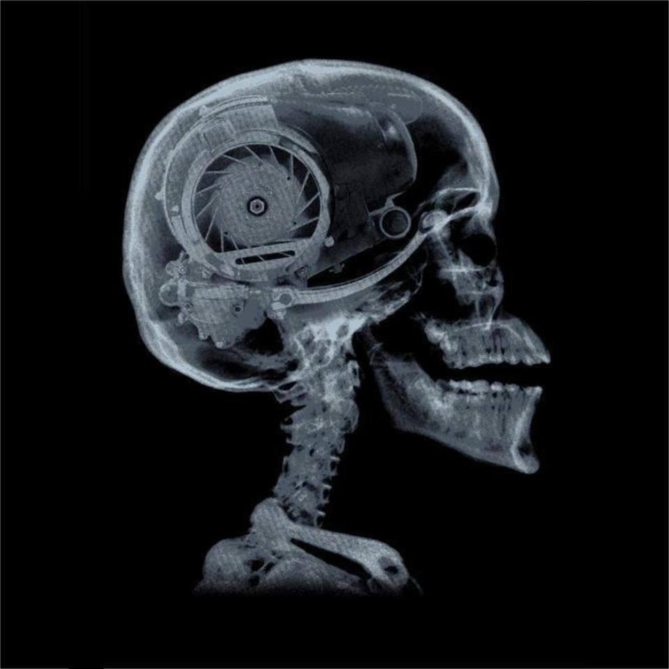 OneBrigo's profile picture. 