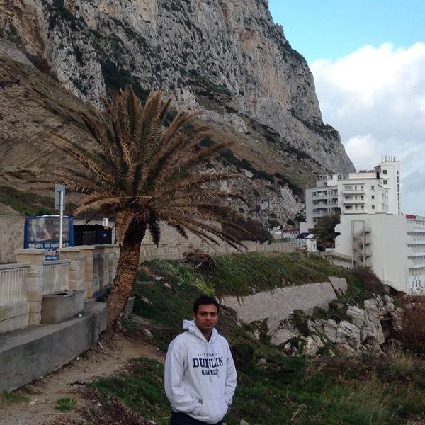 sasielec4's profile picture. 