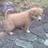 recoba69's profile image