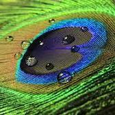 cpapoutsakis1's profile picture. 